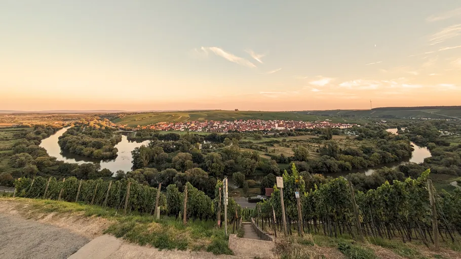 Weinberg mit Blick auf Fluss und Dorf bei Sonnenuntergang.