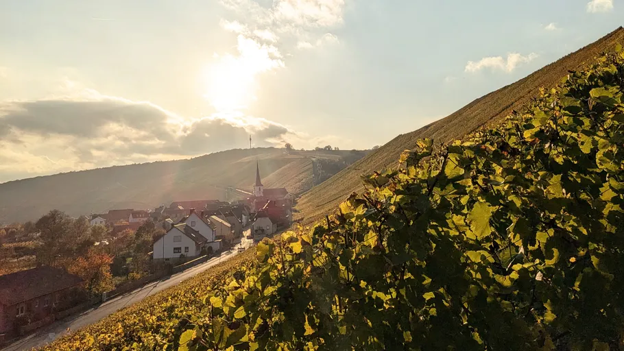 Weinberg-Sonnenuntergang über kleinem Dorf und Hügeln.