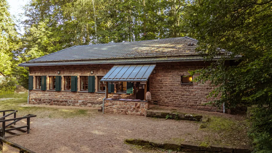 Rustikales Haus in Waldumgebung.