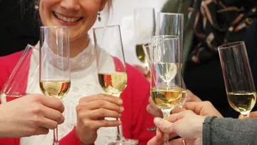 People toasting with champagne in social gathering.