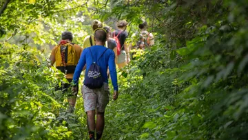 People hiking through dense forest trail.