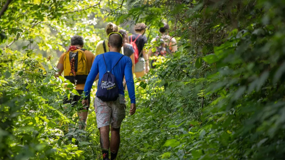 Menschen wandern durch dichten Waldweg.