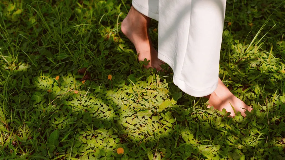 Bare feet walking on green grass.