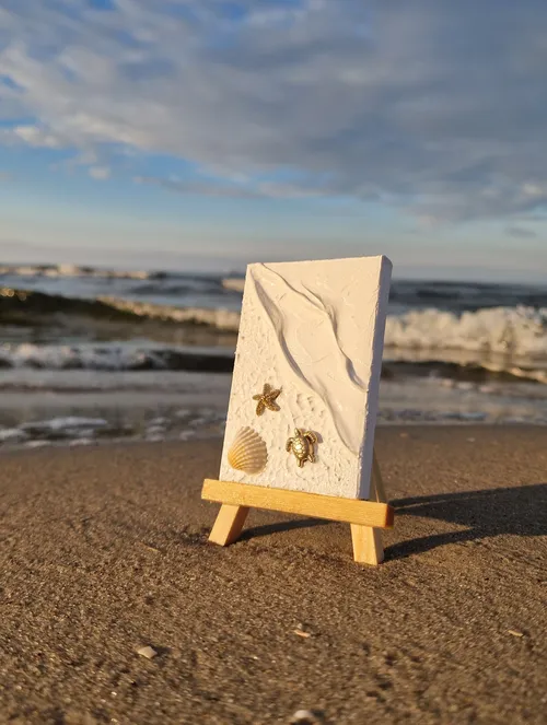 Mini canvas with shells on beach.