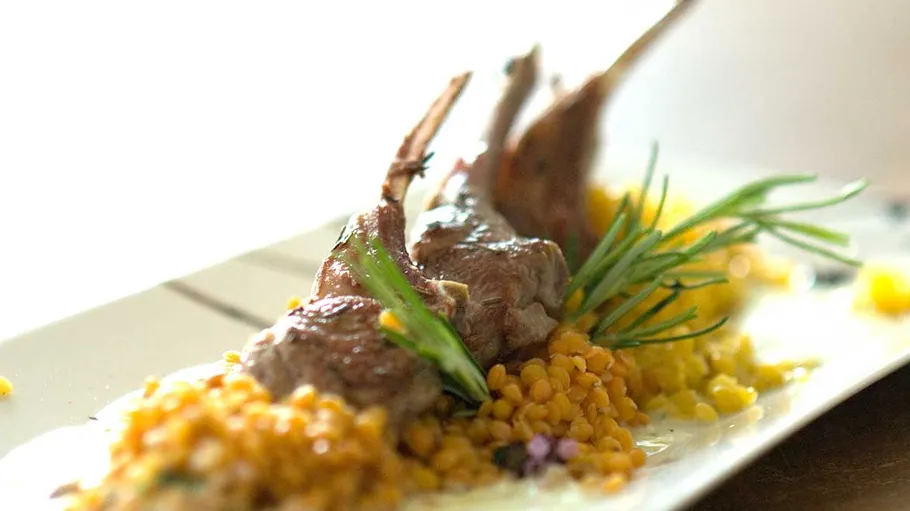 Lamb chops on lentils with rosemary garnish.