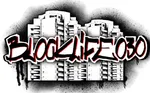 Blocklife030 - Berlin's Party Tourguide buchen logo