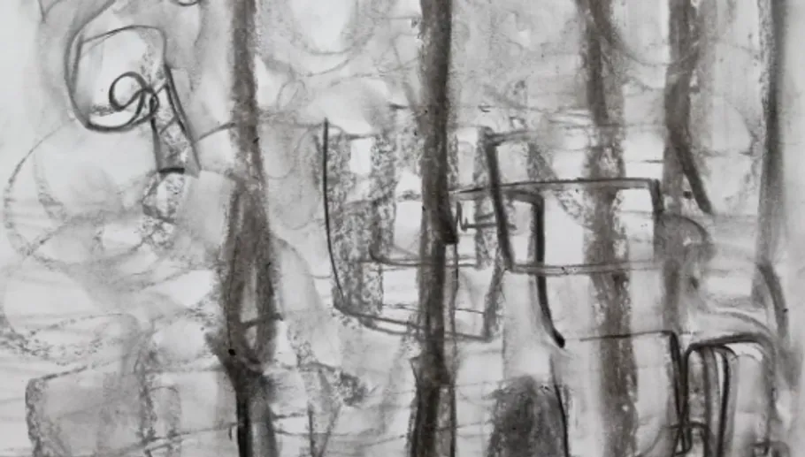 Abstract black and white lines on a surface.