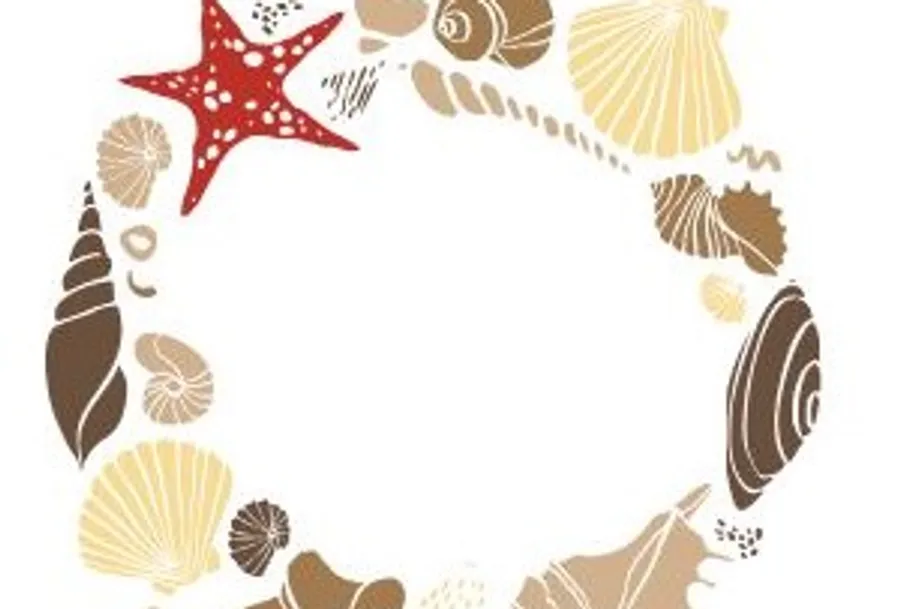 Sea shells and starfish forming circle.