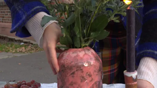 Hand platziert Blumen in rosa Vase im Freien.