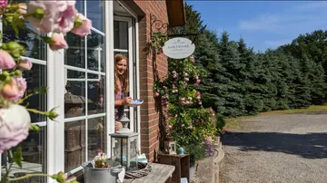 Frau hält Tasse am blumengeschmückten Fenster.