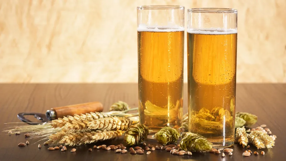 Zwei Biergläser mit Hopfen und Gerste.