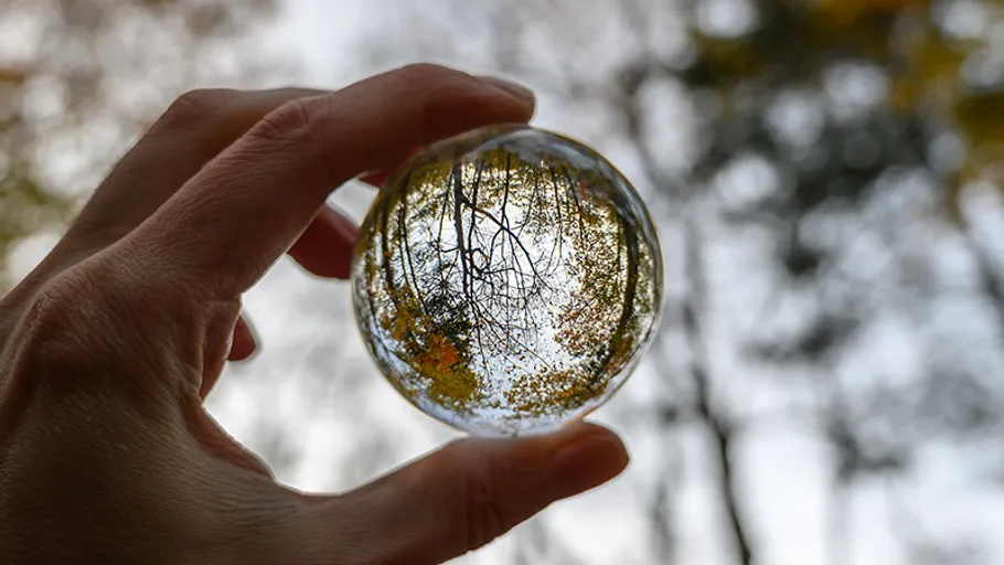 Hand hält Kristallkugel, die Bäume reflektiert.