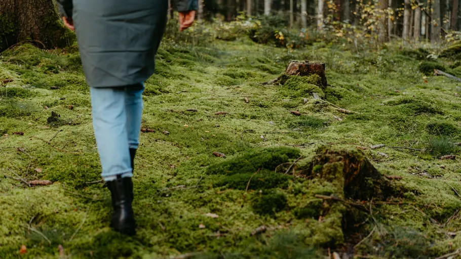 Person geht auf Moos im Wald.