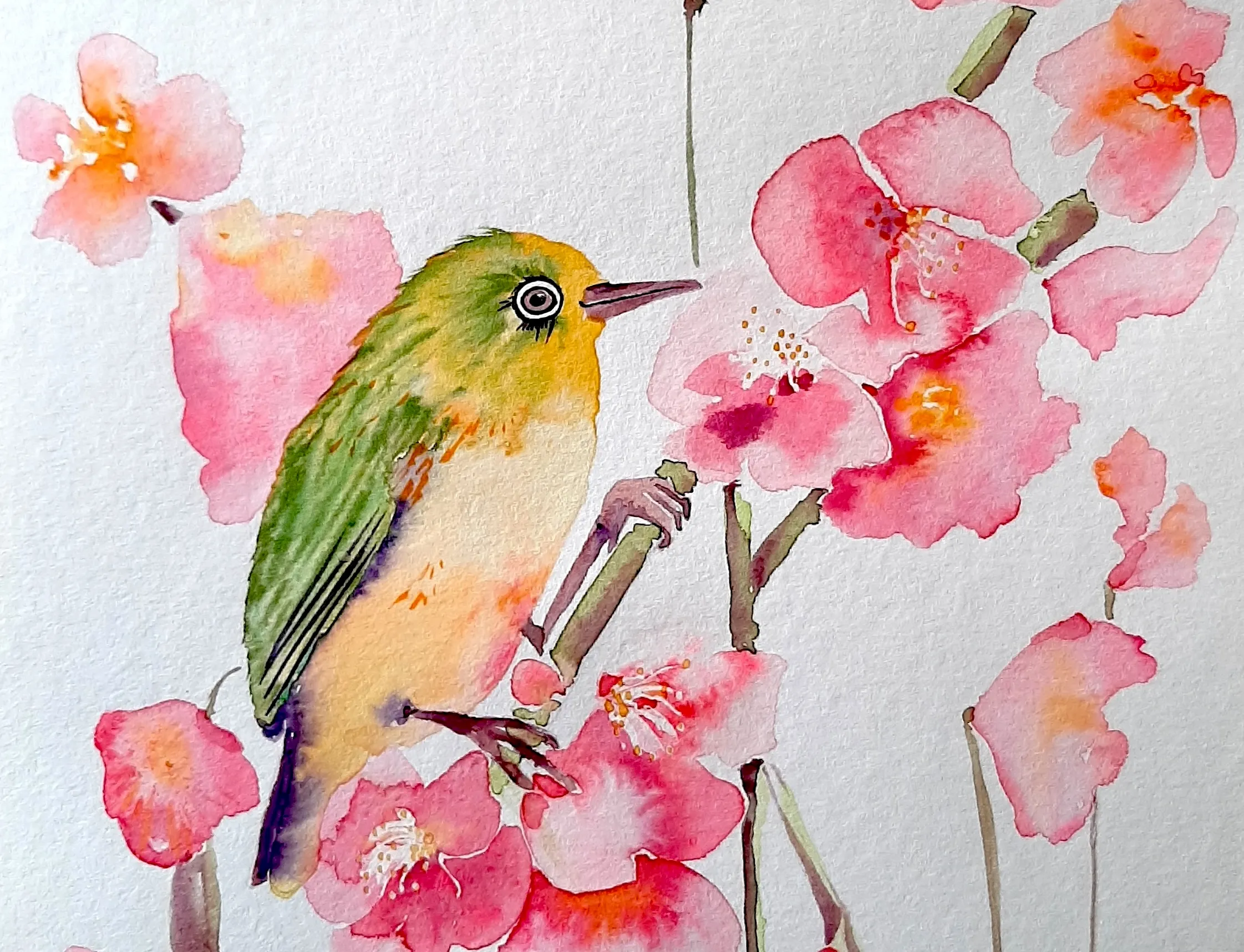 Zu viel Auswahl? Verschenke einen Erlebnisgutschein!