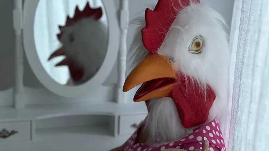 Chicken mask person, mirror reflection, indoor setting.