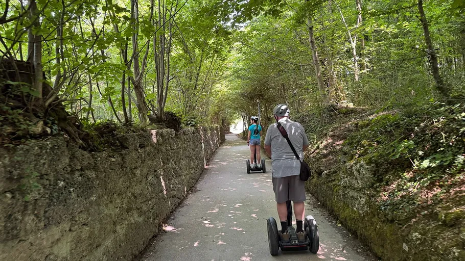 Personen fahren Segways auf Waldweg.