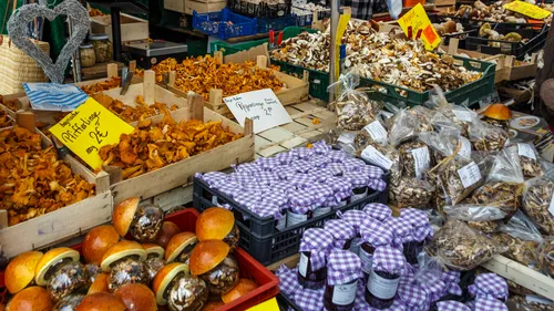 Mushroom market stall with various fresh mushrooms.