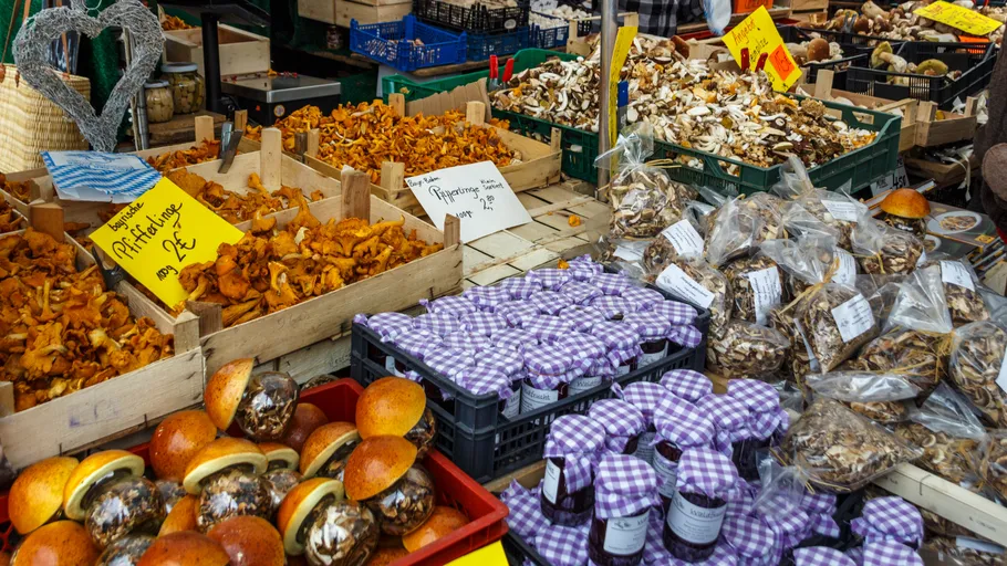 Pilzmarktstand mit verschiedenen frischen Pilzen.