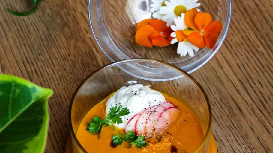 Suppe garniert mit Radieschen, Sahne, Kräutern auf Tisch.