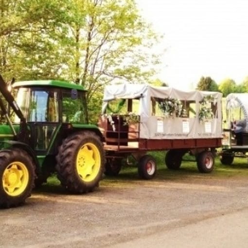 Weinberg-Express in Stuttgart: Planwagenfahrt mit Wein