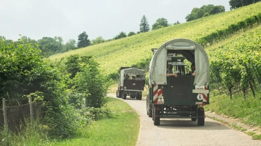 Traktoren fahren durch Weinberg an sonnigem Tag.