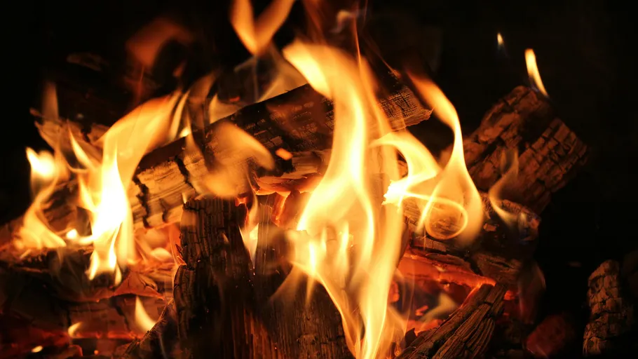 Firewood burning with bright orange flames.