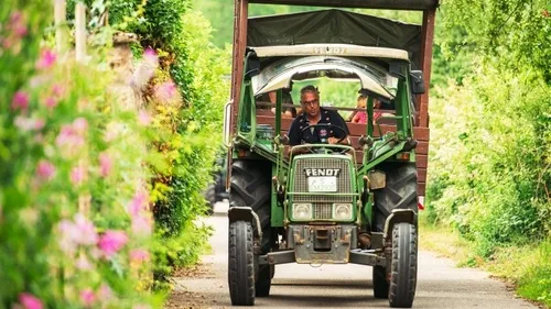 Man driving a green tractor on a country road.