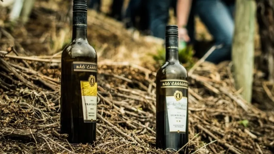 Two wine bottles placed on dry sticks.