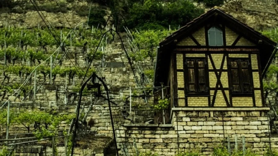 Small house beside vineyard on hillside.