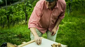 Mann spielt Brettspiel im Weinberg.