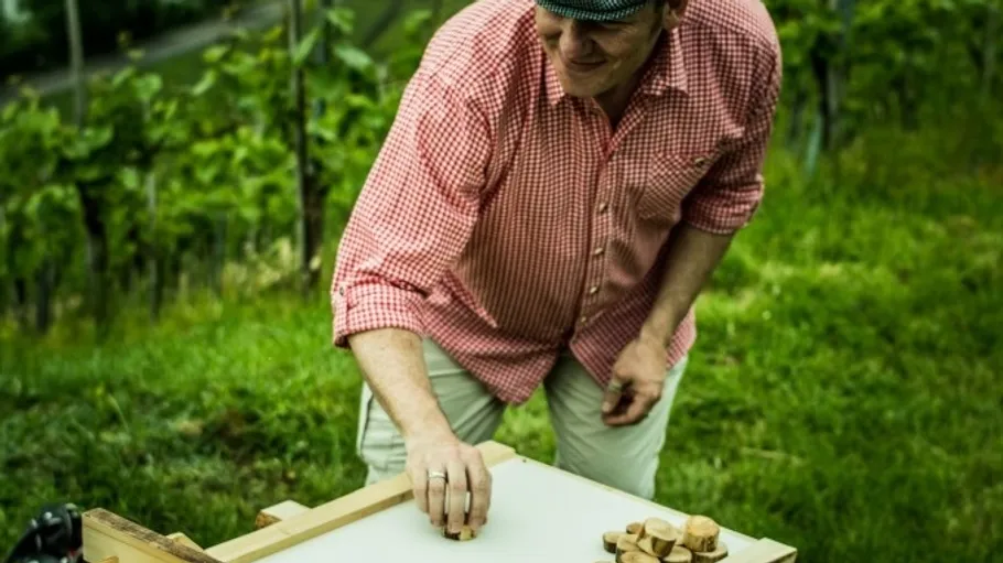 Man plays board game in a vineyard.