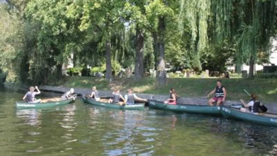 Personen paddeln in Kanus nahe einem Baum-Ufer.