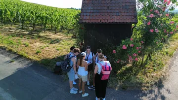 Group chatting near small shed in vineyard.