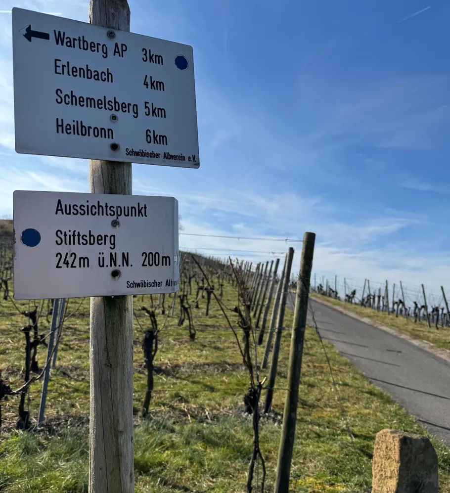 Signs on vineyard path with blue sky.