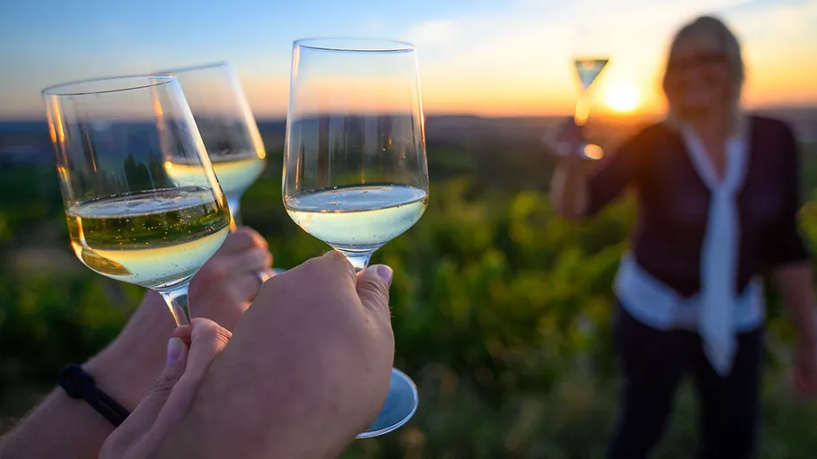 People clinking wine glasses at sunset outdoors.