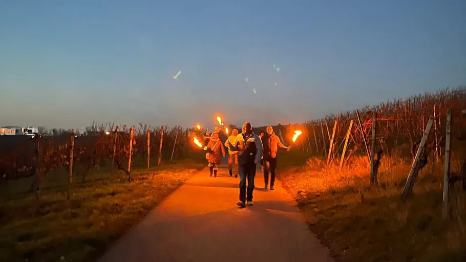 Menschen mit Fackeln in einem Weinberg.