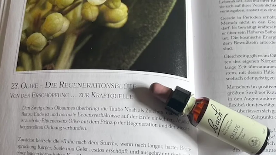 Bach olive essence bottle on an open book.