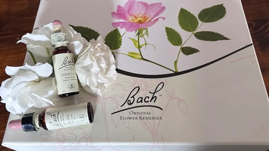 Flaschen und Blumen auf einem Blumen-Themen-Kasten.
