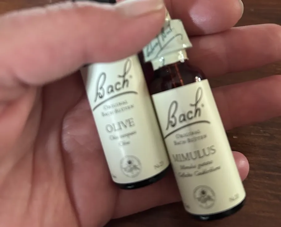 Zwei Bach-Blütenfläschchen in der Hand gehalten.