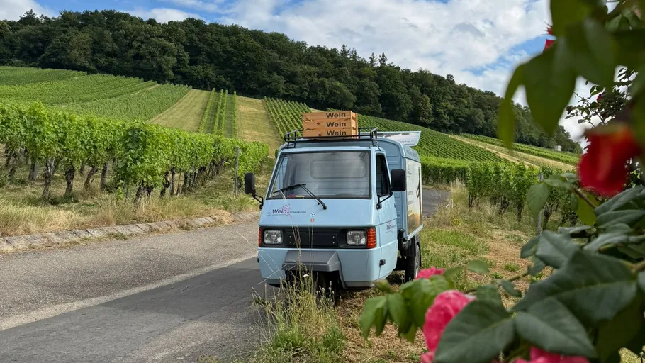 LKW parkt neben Weinberg unter wolkigem Himmel.