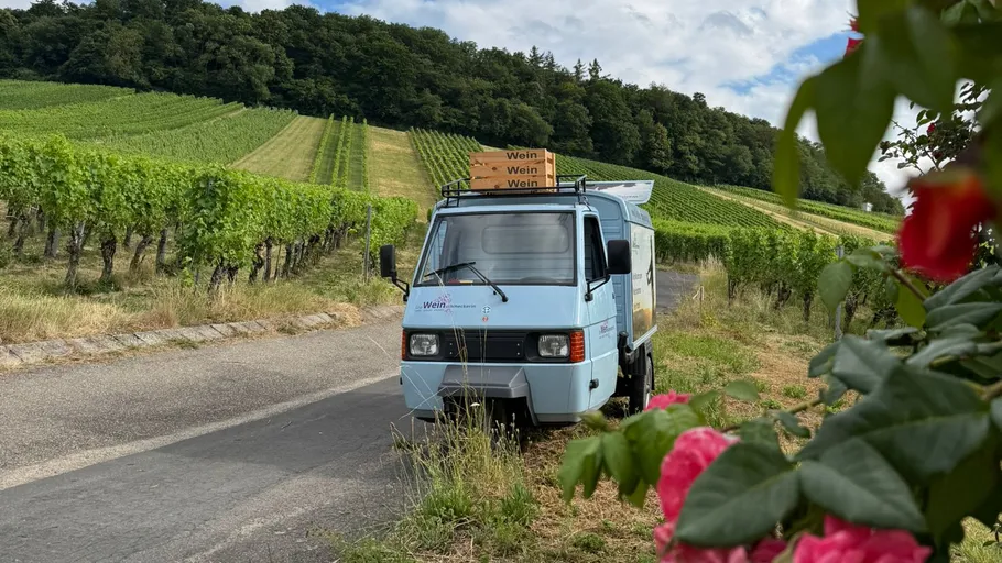 Truck parked by vineyard, flowers on side.