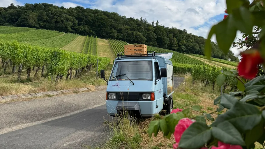 Small truck parked by vineyard road.