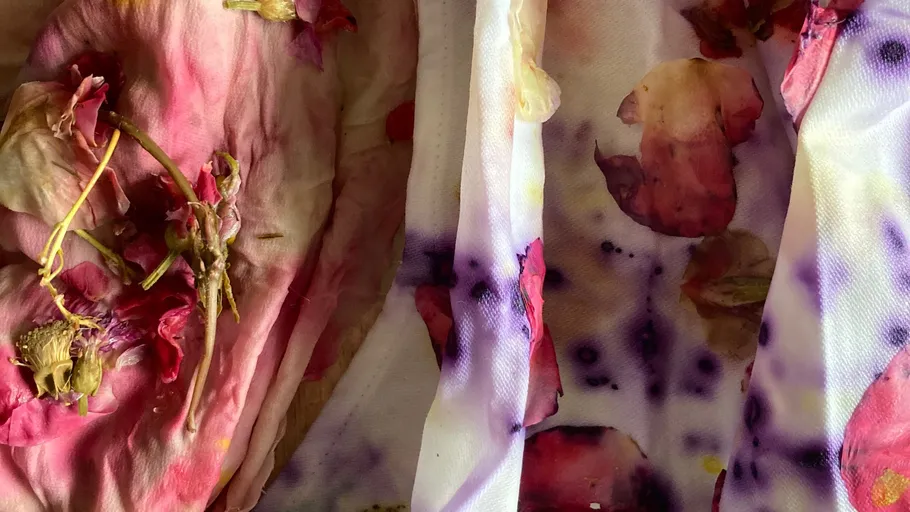 Petals on fabric creating colorful natural dye.
