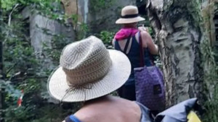 Zwei Personen mit Hüten im Wald spazieren.
