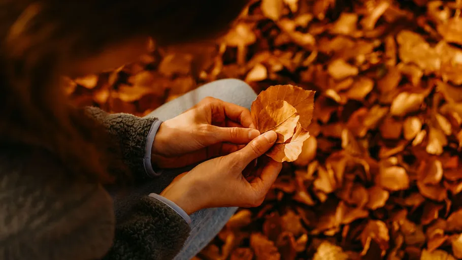 Person holding dry leaves, surrounded by foliage.