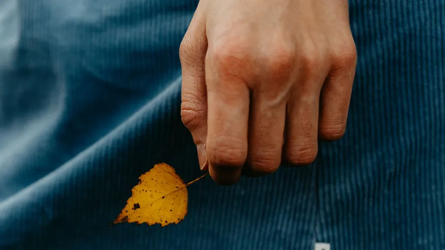 Hand hält kleines gelbes Blatt, blauer Hintergrund.