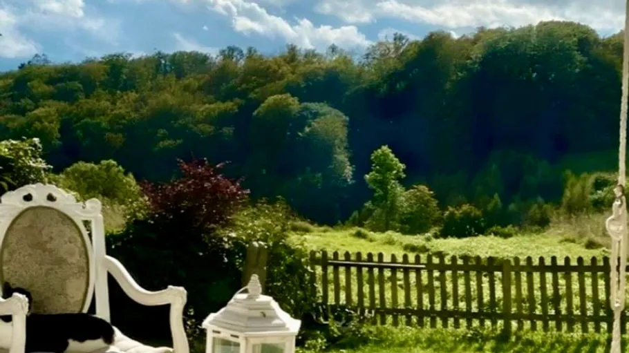 Outdoor chair and lantern in garden landscape.