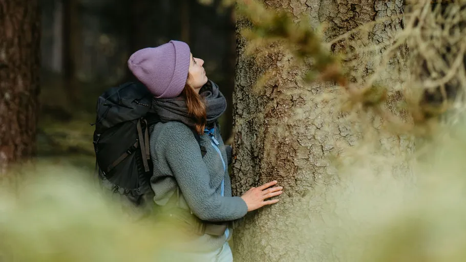 Frau berührt Baum im Wald, blickt aufwärts.