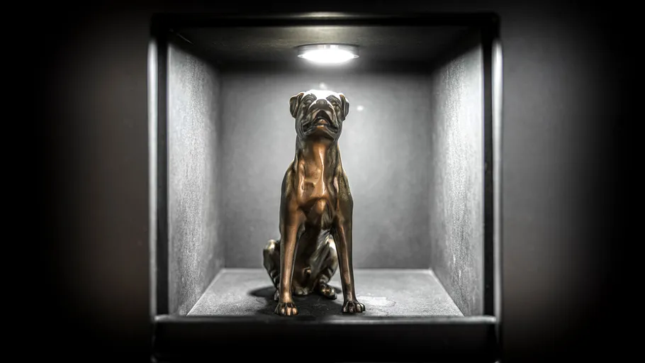 Bronze dog statue under spotlight in box.