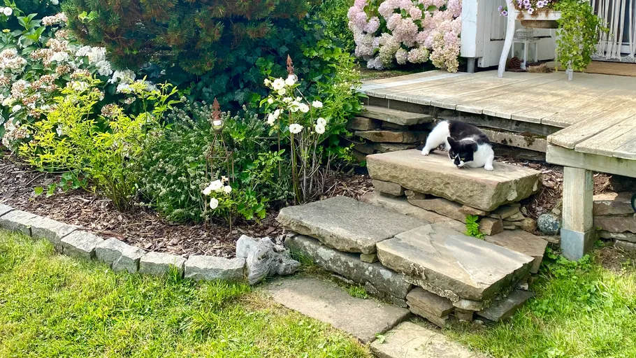 Veranda und Garten.